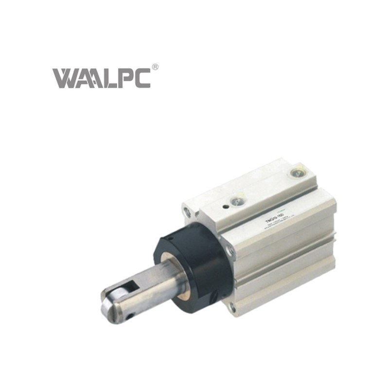 Стопорный пневмоцилиндр TWQ WAALPC TWQ/TTQ-20-10