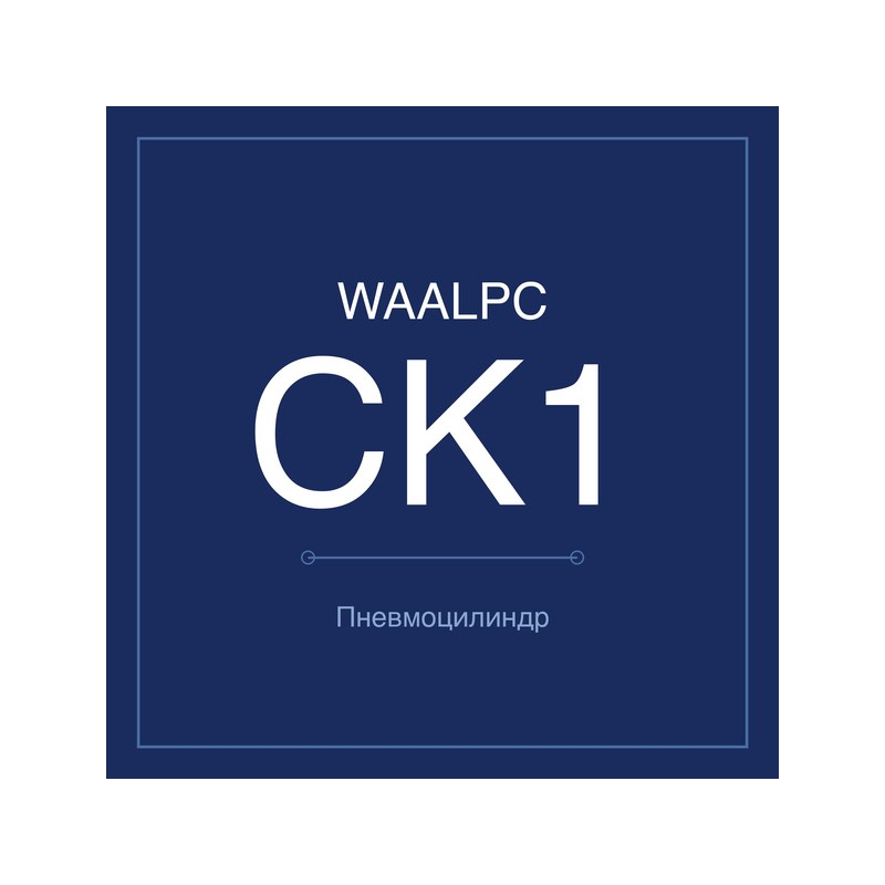 Зажимной пневмоцилиндр CK1 WAALPC CK1A(B)/CKG1A(B)-40-100
