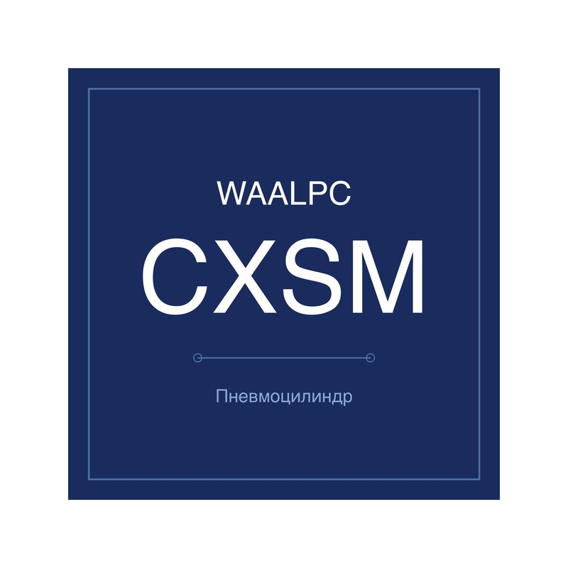 Пневмоцилиндр с двумя штоками CXSM WAALPC CXSM/TR-10-10