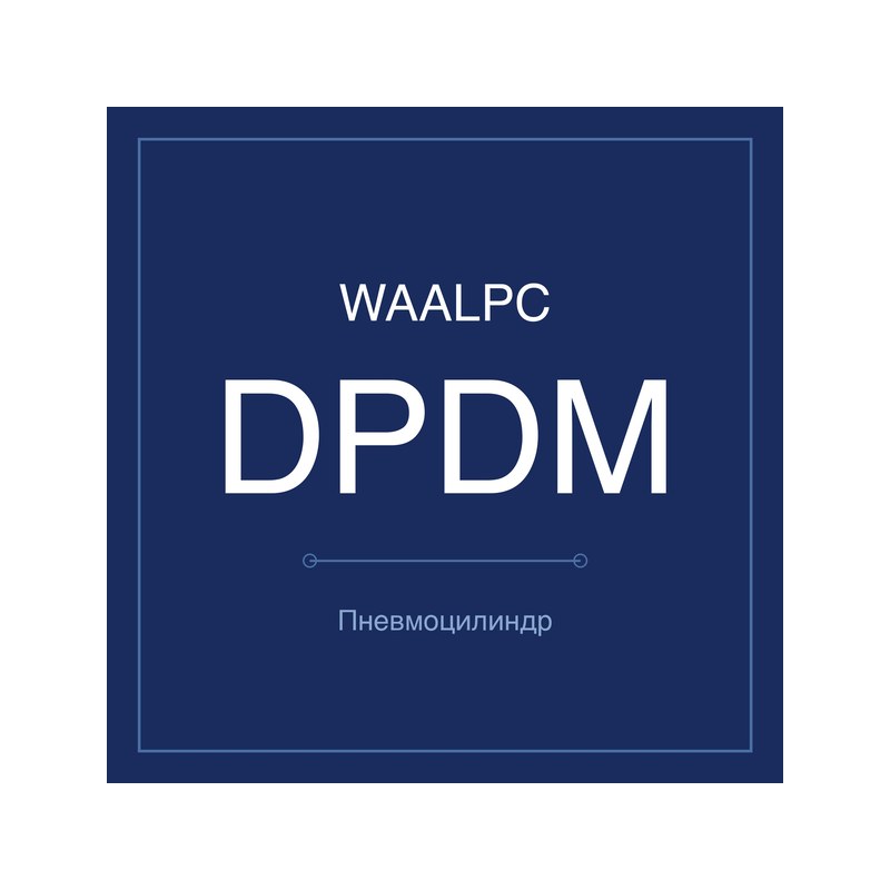 Пневмоцилиндр с двумя штоками DPDM WAALPC DPDM-10-10