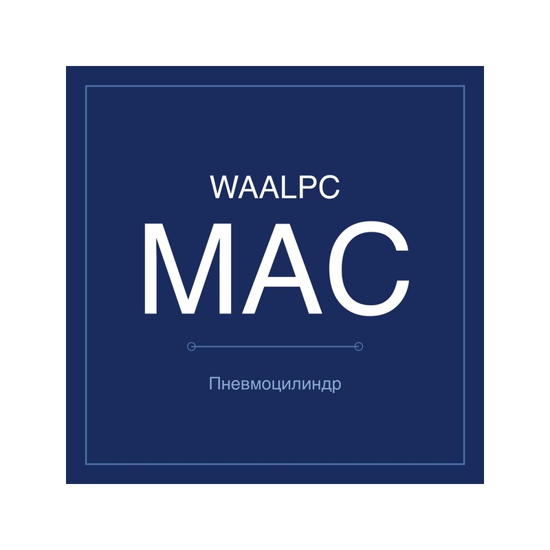 Пневмоцилиндр мини MAC WAALPC MAC-16-100
