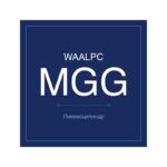 MGG-20 фото 1