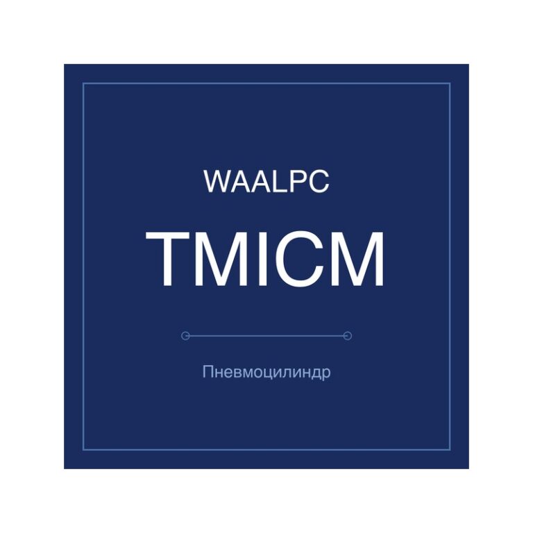 Пневмоцилиндр стандартный TMICM