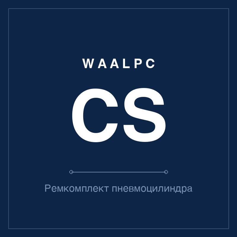 Запчасть пневмоцилиндра CS WAALPC CS-SP
