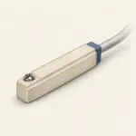 CMSE фото 2