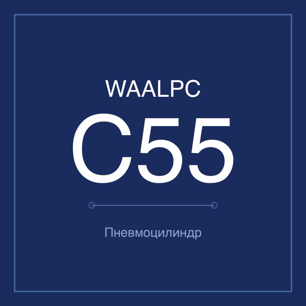 Пневмоцилиндр компактный C55 — Ø20–63 мм, ход 10–150 мм WAALPC C55-20-10