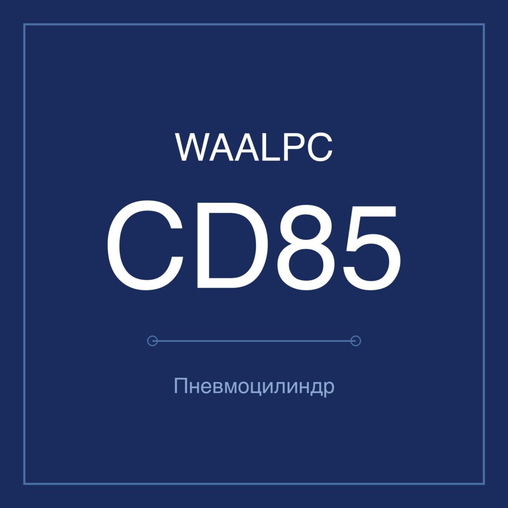 Пневмоцилиндр мини CD85 — Ø10–40 мм, ход 10–500 мм WAALPC CD85-A/MIC-16-+100MM