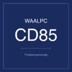 CD85-A/MIC-16-+100MM фото 1