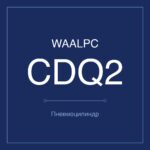 CDQ2A-100-125 фото 1