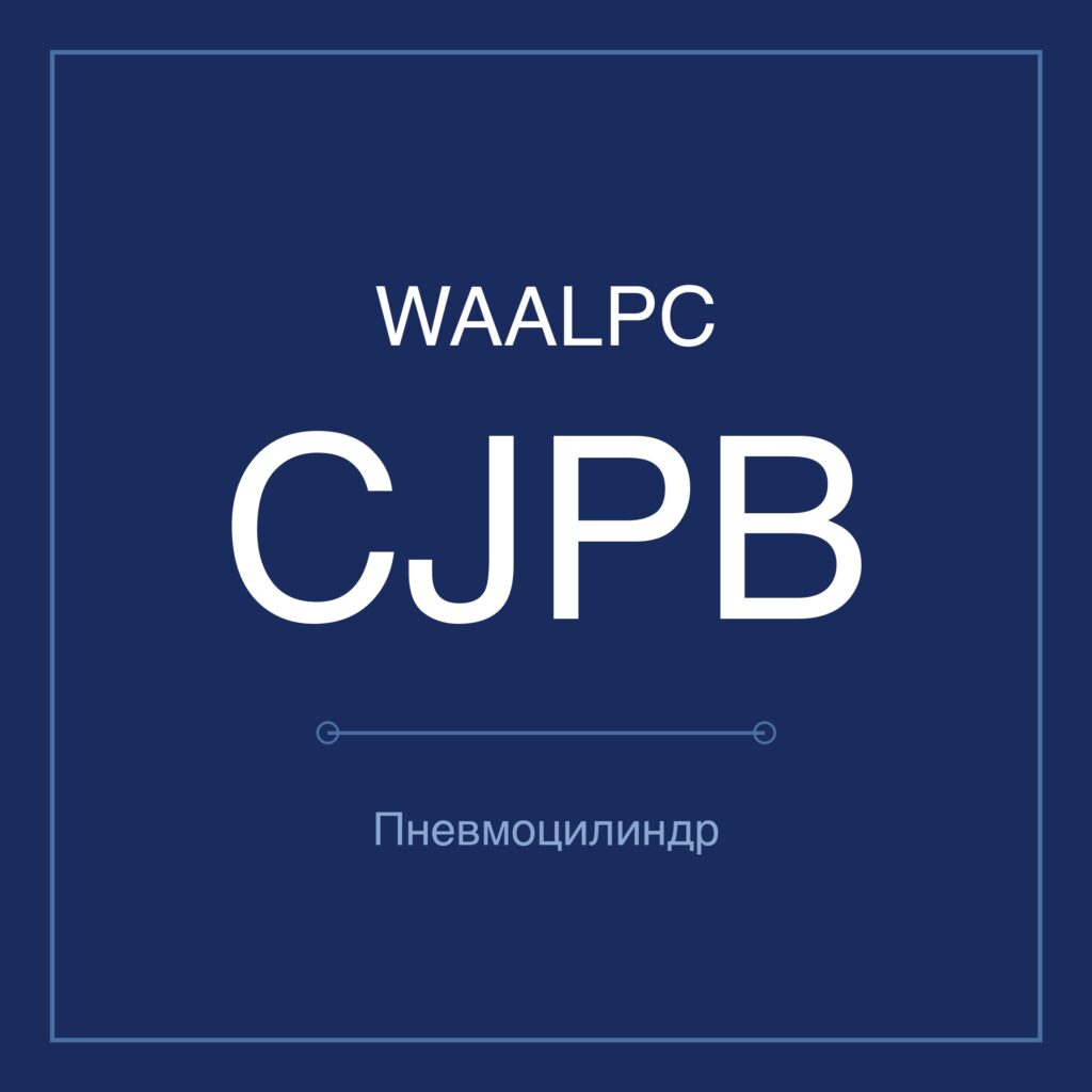 Пневмоцилиндр мини CJPB — Ø4–15 мм, ход 5–15 мм WAALPC CJPB-10-10