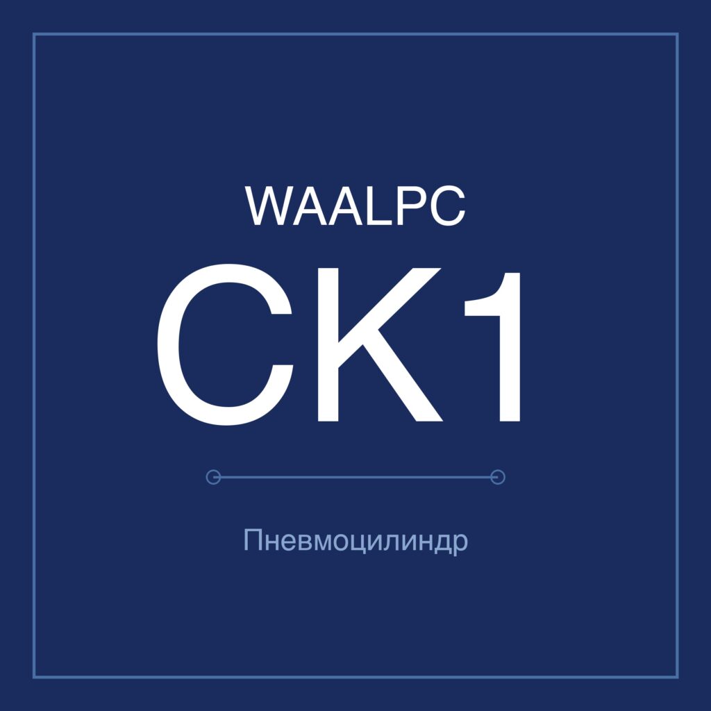 Зажимной пневмоцилиндр CK1 — Ø40–80 мм, ход 50–200 мм WAALPC CK1A(B)/CKG1A(B)-40-100