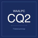 CQ2/ACQ/SDALARGECYLINDERDIAMETER-125-10 фото 1