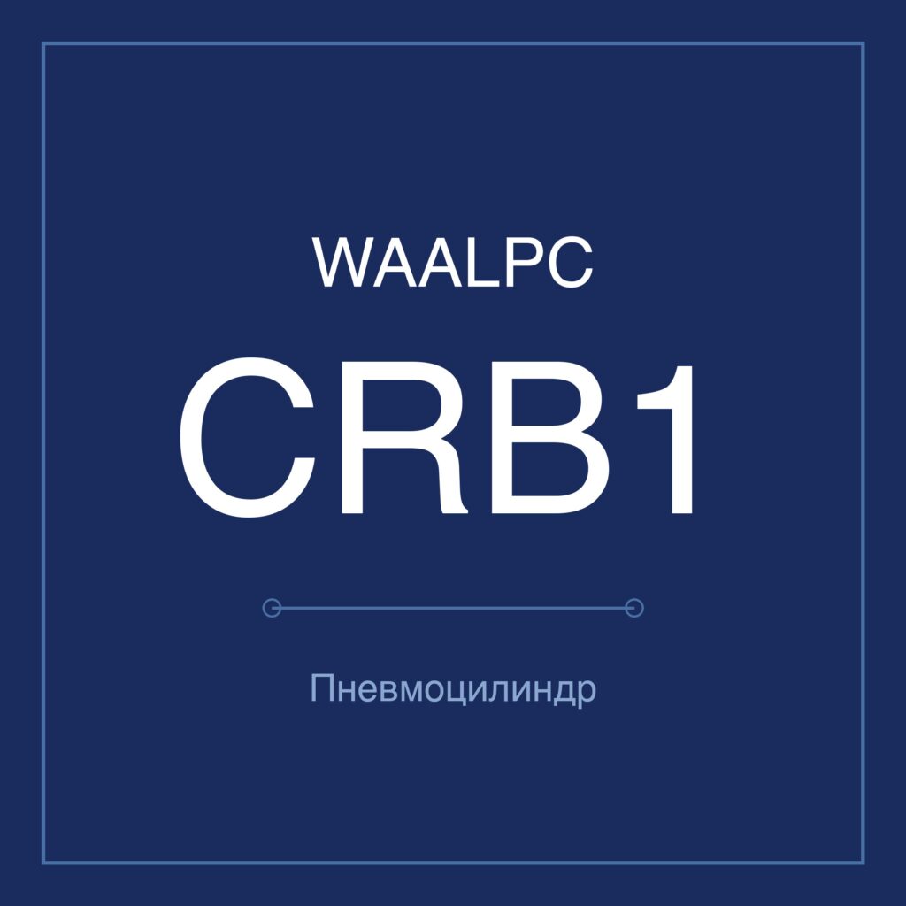 Поворотный пневмопривод CRB1 — Ø50–270 мм WAALPC CRB1BW-180-100
