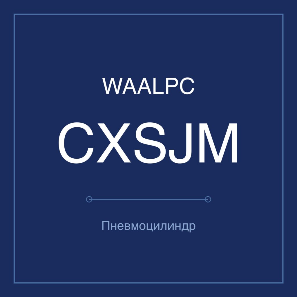 Пневмоцилиндр с двумя штоками CXSJM — Ø6–32 мм, ход 10–175 мм WAALPC CXSJM-10-10