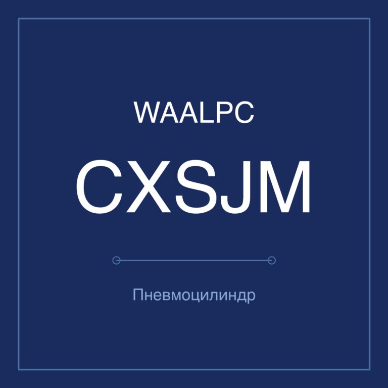 Пневмоцилиндр с двумя штоками CXSJM — Ø6–32 мм, ход 10–175 мм