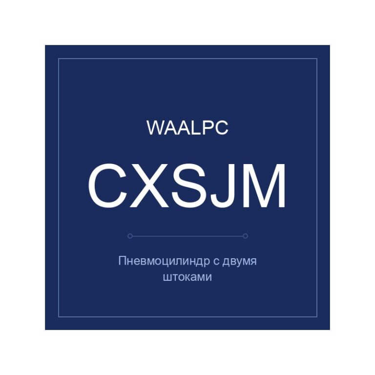 Пневмоцилиндр с двумя штоками CXSJM