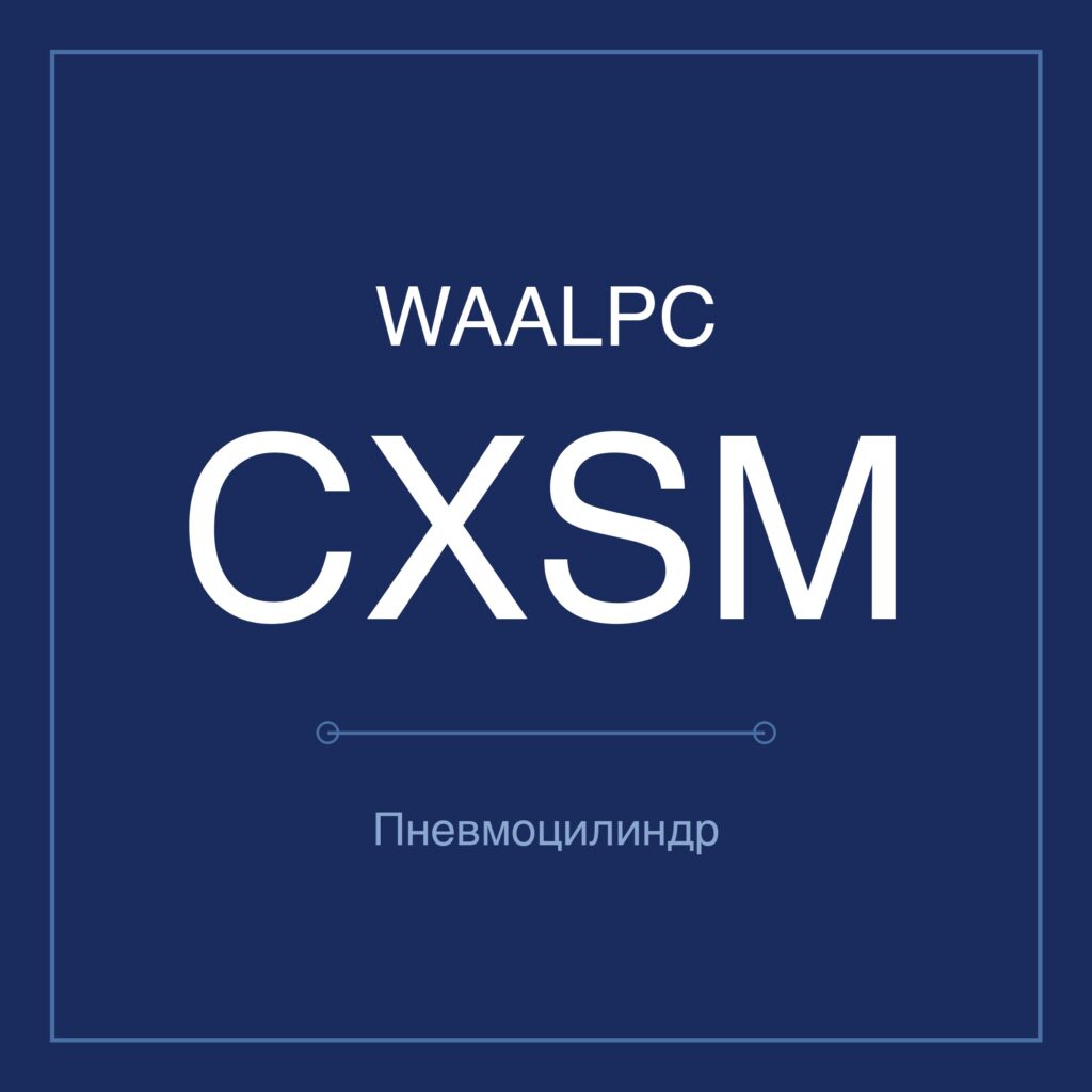Пневмоцилиндр с двумя штоками CXSM — Ø6–32 мм, ход 10–300 мм WAALPC CXSM/TR-10-10