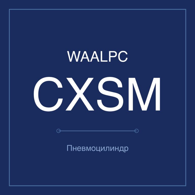 Пневмоцилиндр с двумя штоками CXSM — Ø6–32 мм, ход 10–300 мм