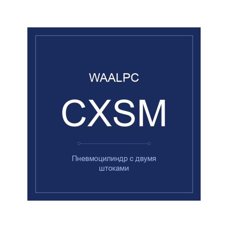 Пневмоцилиндр с двумя штоками CXSM
