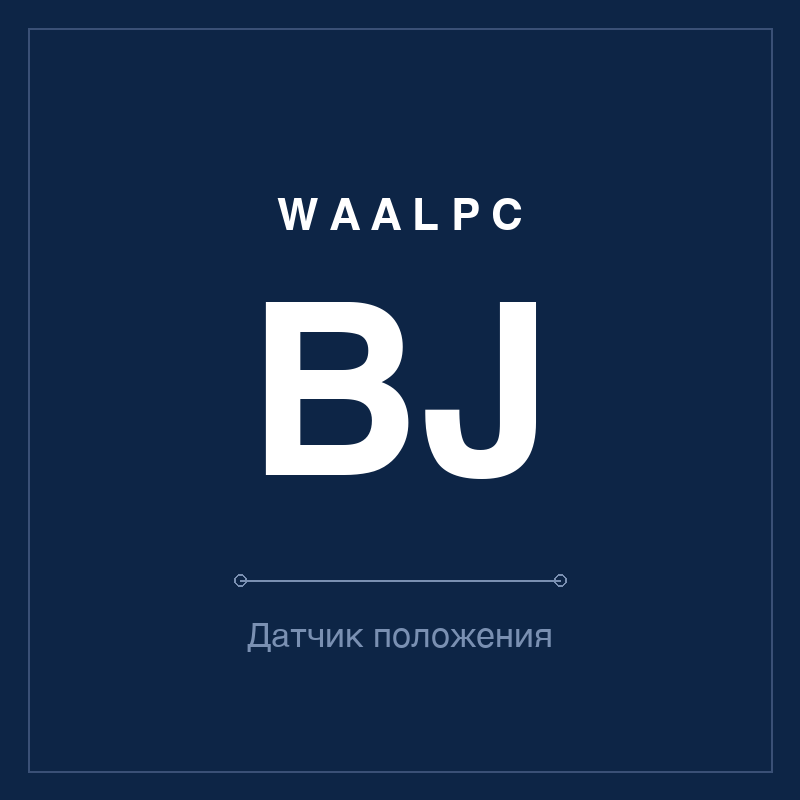 Датчик положения (геркон) BJ WAALPC BJ