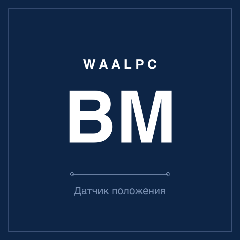 Датчик положения (геркон) BM WAALPC BM