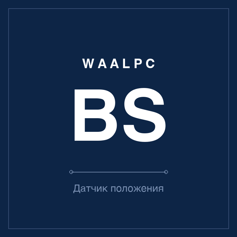 Датчик положения (геркон) BS WAALPC BS
