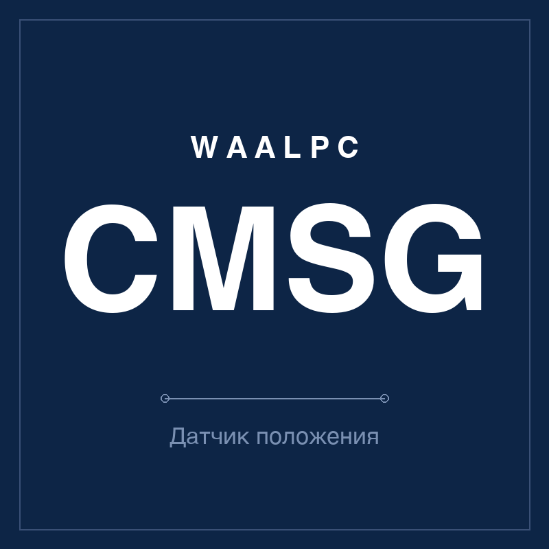 Датчик положения (геркон) CMSG WAALPC CMSG