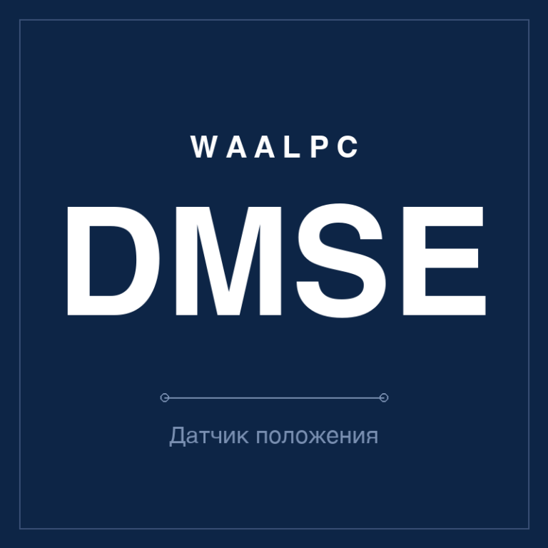 Датчик положения (геркон) DMSE