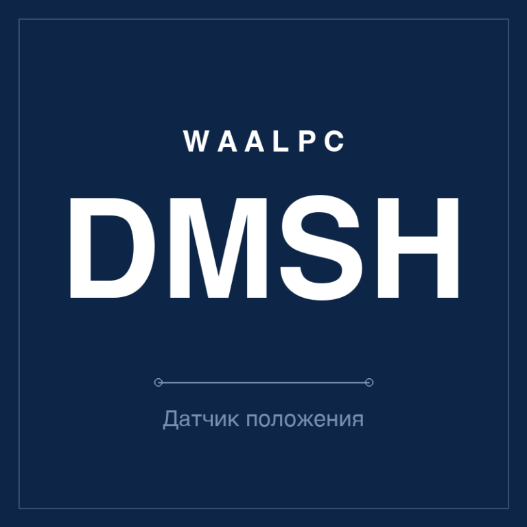 Датчик положения (геркон) DMSH