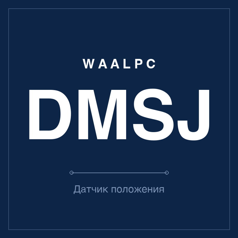Датчик положения (геркон) DMSJ WAALPC DMSJ