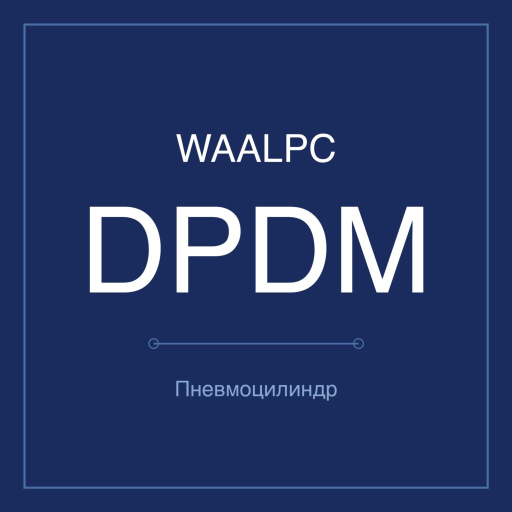 Пневмоцилиндр с двумя штоками DPDM — Ø6–32 мм, ход 5–50 мм WAALPC DPDM-10-10