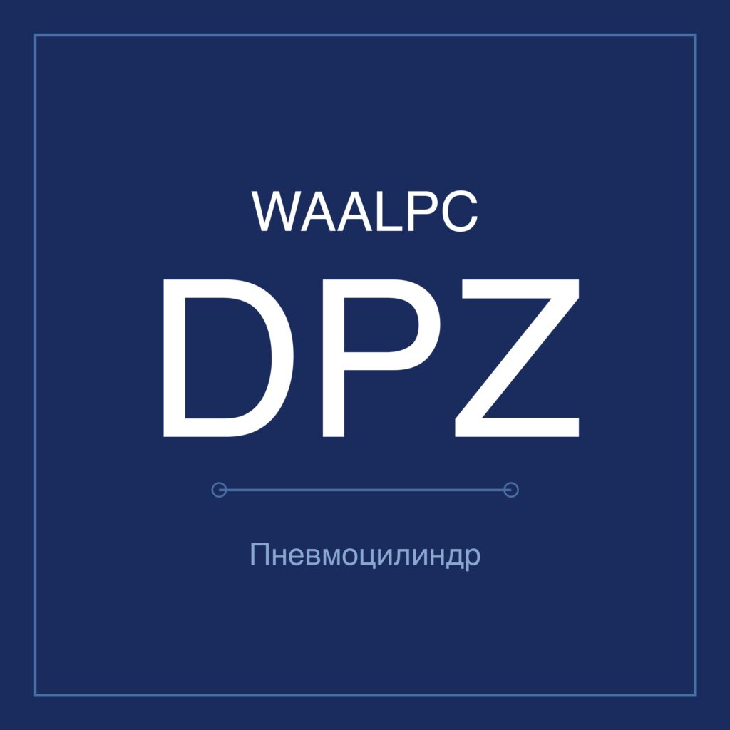 Пневмоцилиндр с двумя штоками DPZ — Ø10–32 мм, ход 10–100 мм WAALPC DPZ-GF-10-10