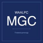 MGC-20-100 фото 1