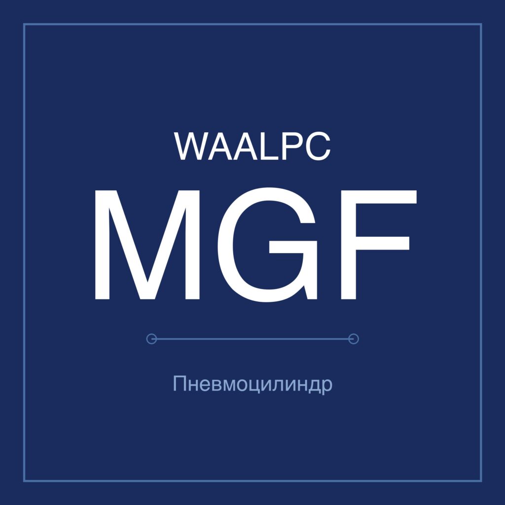 Пневмоцилиндр с направляющими MGF — Ø40–100 мм, ход 20–100 мм WAALPC MGF-100-100