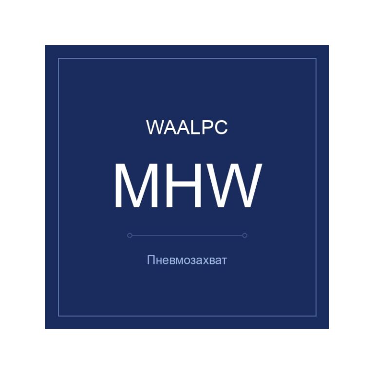 Пневмозахват MHW