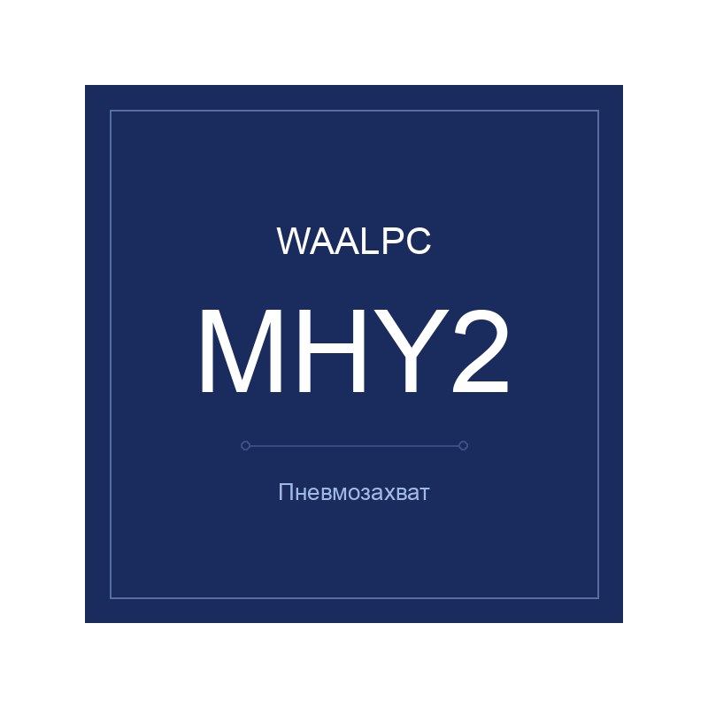Пневмозахват MHY2 WAALPC MHY2-10
