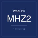 MHZ2-C-10 фото 1