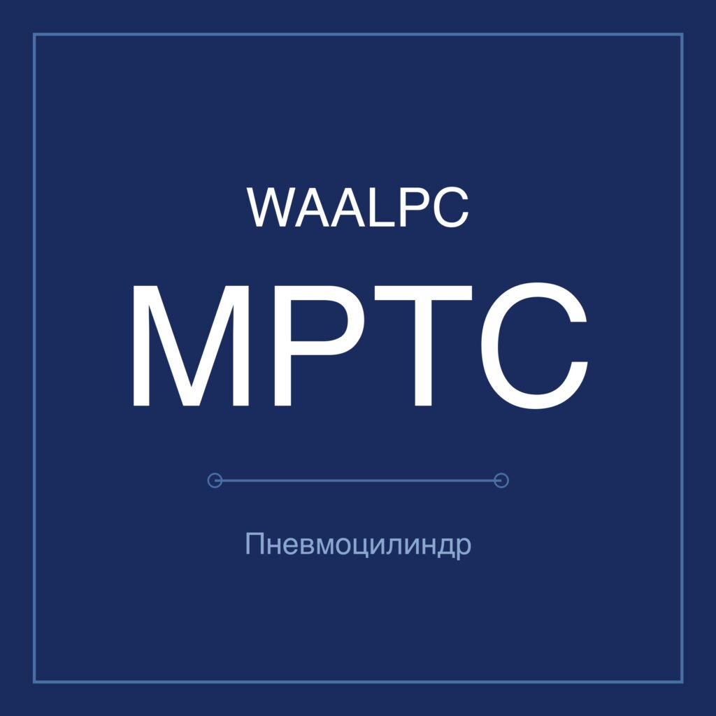 Газогидравлический цилиндр MPTC — Ø50–100 мм, ход 1–1 мм WAALPC MPTC-100-1