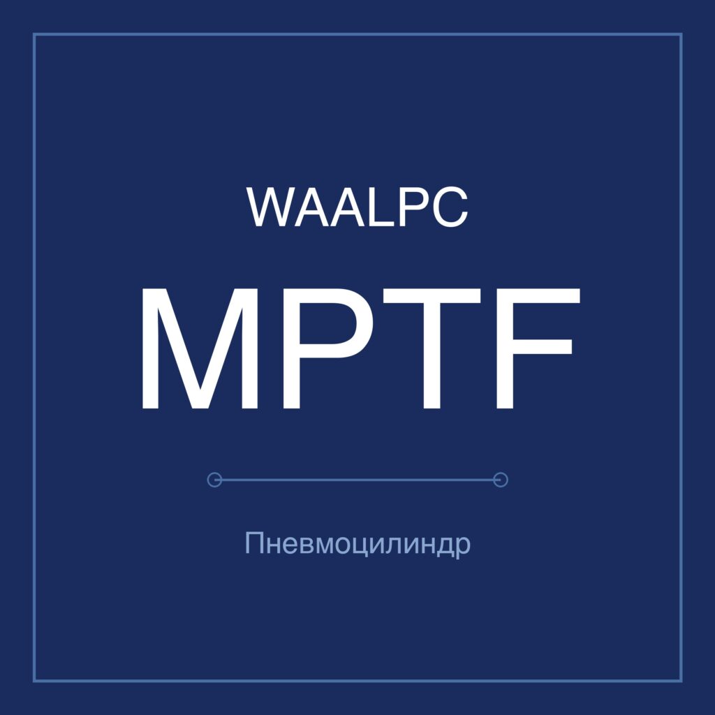 Газогидравлический цилиндр MPTF — Ø50–125 мм, ход 1–201 мм WAALPC MPTF-100-1