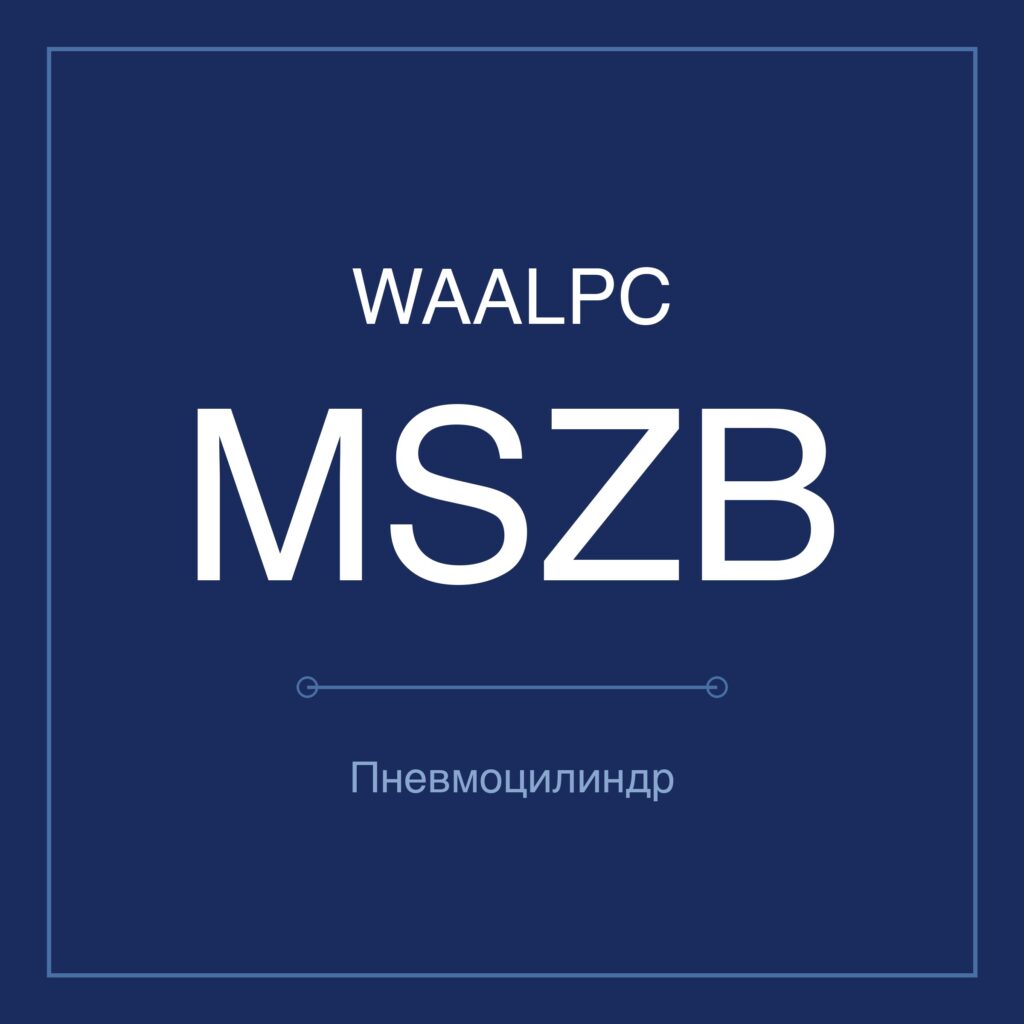 Поворотный пневмопривод MSZB — Ø10–50 мм WAALPC MSZB-10