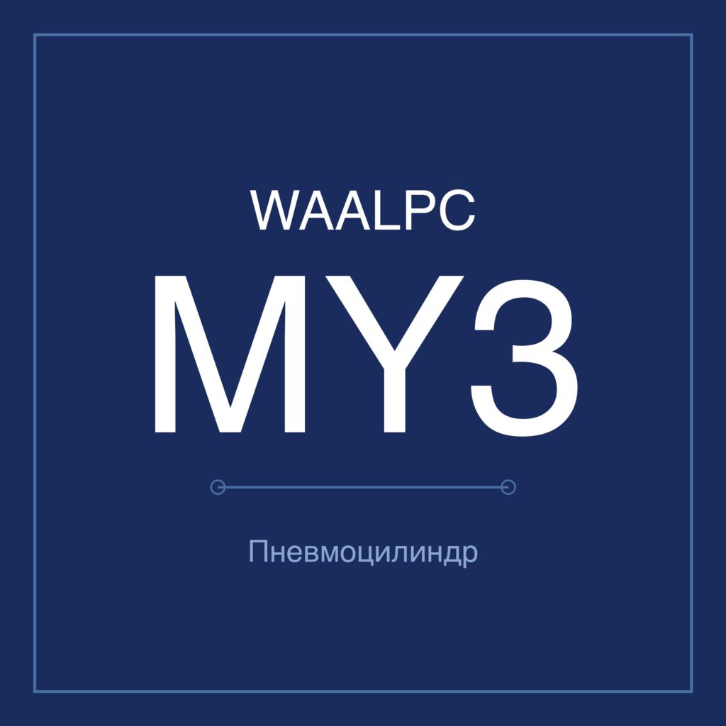 Пневмоцилиндр бесштоковый MY3 — Ø16–32 мм, ход 100–2000 мм WAALPC MY3B/A-16-100
