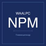 NPM-1.5T фото 1