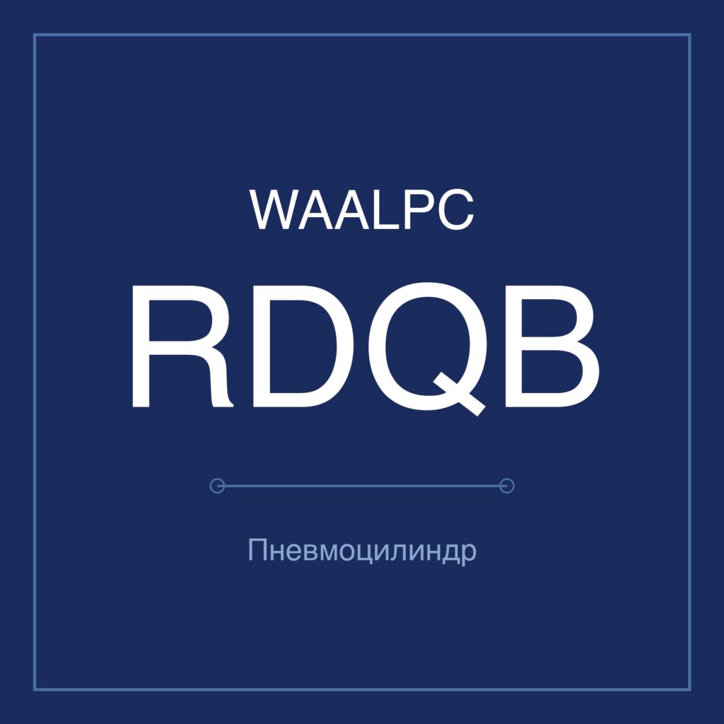 Пневмоцилиндр компактный RDQB — Ø20–100 мм, ход 15–100 мм WAALPC RDQB-100-100