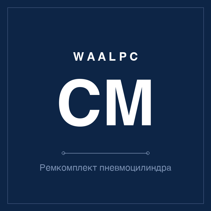 Ремкомплект (уплотнения) пневмоцилиндра CM WAALPC CM-KIT