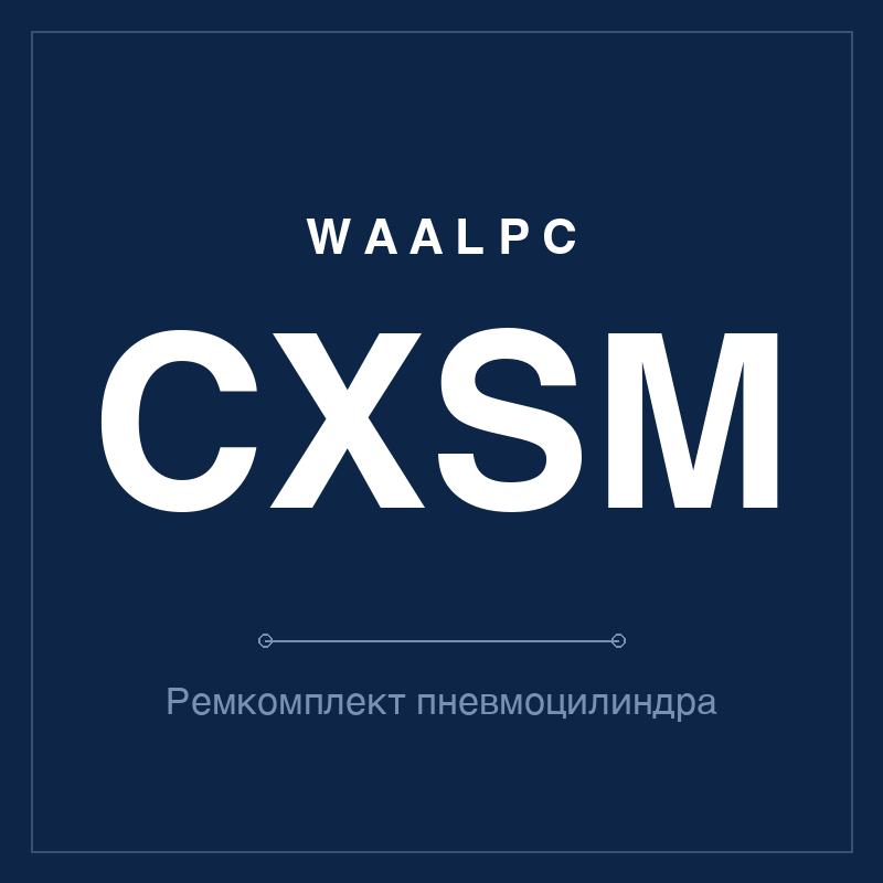 Ремкомплект (уплотнения) пневмоцилиндра CXSM WAALPC CXSM-KIT