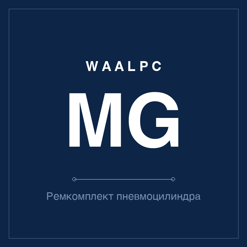 Ремкомплект (уплотнения) пневмоцилиндра MG WAALPC MG-KIT