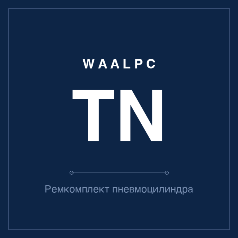 Ремкомплект (уплотнения) пневмоцилиндра TN