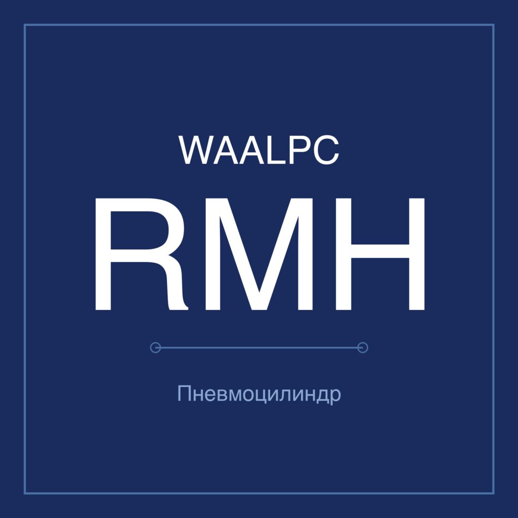 Пневмоцилиндр бесштоковый RMH — Ø10–25 мм, ход 50–800 мм WAALPC RMH-10-100