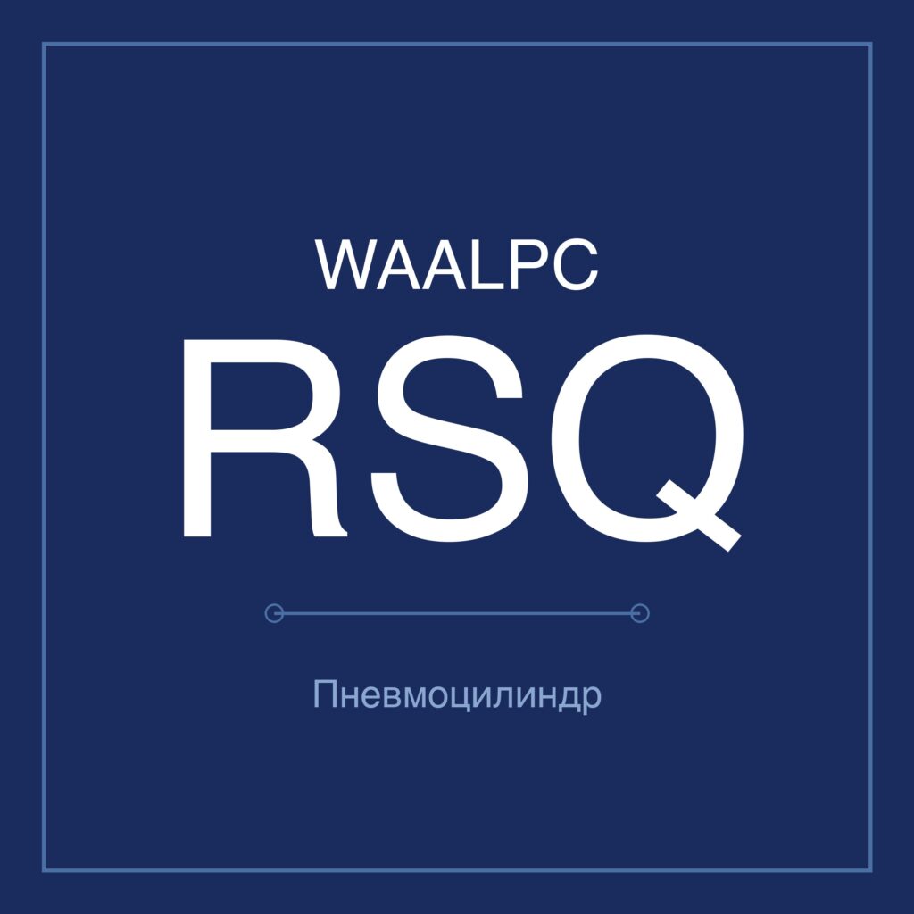 Стопорный пневмоцилиндр RSQ — Ø12–50 мм, ход 10–30 мм WAALPC RSQ-12-10
