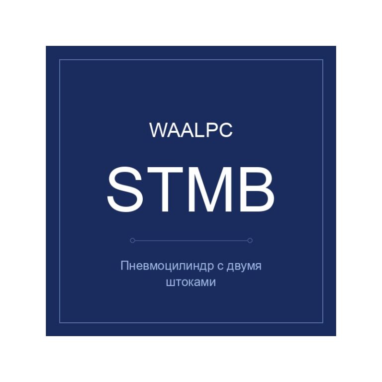 Пневмоцилиндр с двумя штоками STMB